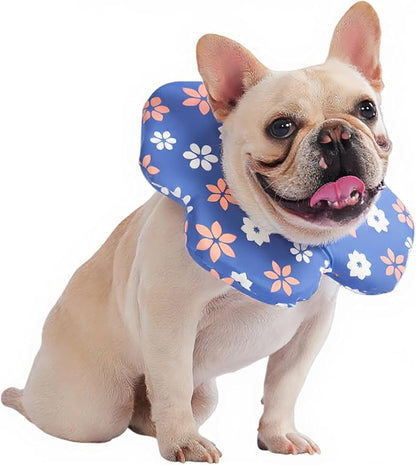 PetWarm Dog Recovery Collar, Recovery Collar for Dogs, Lightweight Soft Flower Design, Comfortable Neck Protector Helps Discourage Licking, Post-Visit Protective Collars, Flower Print, Blue, L