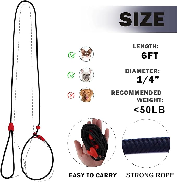 2 Pack Slip Leads for Dogs 6FT Slip Leash for Dogs Dog Lead Strong Nylon Dog Training Leash No Pull Rope Dog Leash Dog Leashes for Small Medium Dogs(Black+Black)