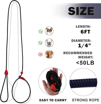 2 Pack Slip Leads for Dogs 6FT Slip Leash for Dogs Dog Lead Strong Nylon Dog Training Leash No Pull Rope Dog Leash Dog Leashes for Small Medium Dogs(Black+Black)