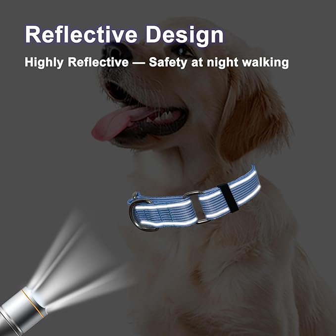 Reflective Martingale Collar for Dogs Nylon Training Collar with No Buckle, No Pull Escape Proof Dog Collar for Small Dogs（Blue Stripe，S）