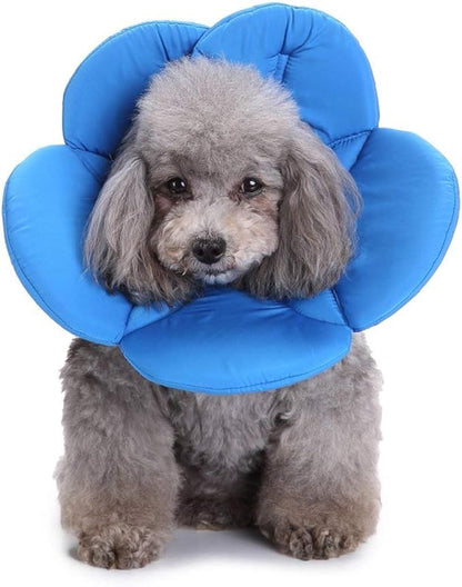 Dogs Cats Medical Grooming Pet E-Collar Recovery Remedy Protective Dog Lick Caught Soft Sponge Adjustable Postoperative Kit for Small and Medium Dog (Blue, M (neck's Girth 10.6" to 11.4"))