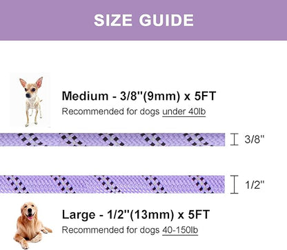 5 FT Slip Lead Dog Leash, Heavy Duty Rope Leash for Small Medium Large Dogs, No Pull Training Lead with Reflective Thread, Strong Comfortable Loop Leash (Lavender Stripe, Large(1/2"))