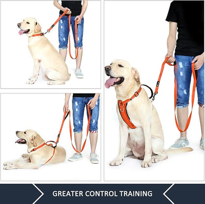 Plutus Pet Double Handle Dog Leash 4ft, Heavy Duty, Reflective Dual Handle Dog Leash for Safety Training, for Medium Large Dogs,2 Handle Leads(Orange)