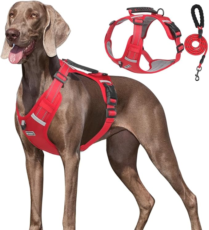 Dog Harness No Pull Adjustable Reflective,for Medium and Large Small Dog with Leash 59.06in (Red, XS)