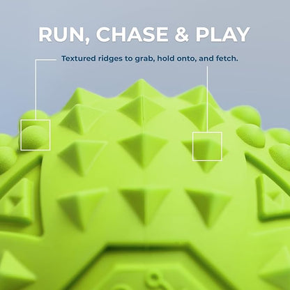 Best Pet Supplies Squeaky Dog Toys with Soft Durable Fabric for Small, Medium and Large Pets Interactive Toy for Indoor Play, Supports Active Biting and Play - Fuchsia, Green (M:2.5")