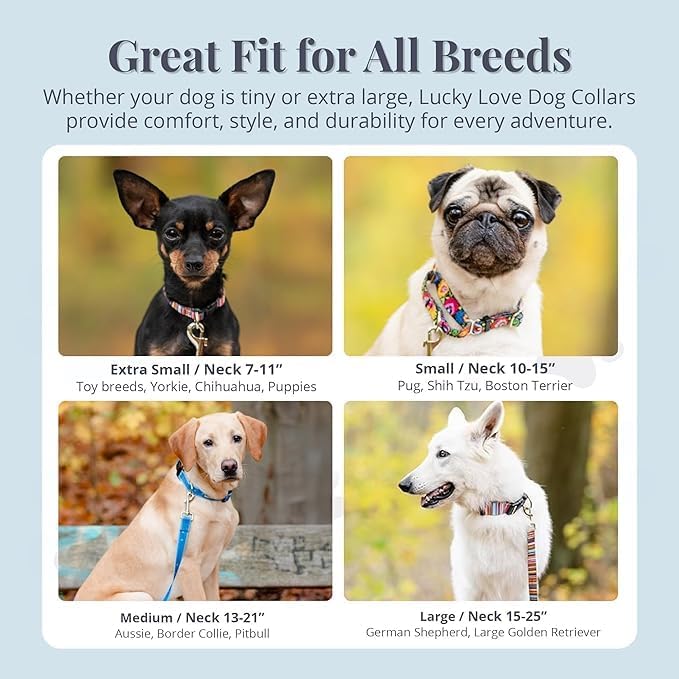 Lucky Love Dog - Adjustable Dog Collar with Easy Click Buckle for Small Ones, Durable, & Comfortable for Male & Female Dogs, Pet Collar for Puppies & Adult Dogs - Ladybird, XS