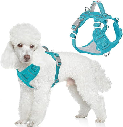 BARKBAY Dog Harness No Pull Oxford with ID Tag Pocket - Heavy Duty, Reflective, Easy Control for Large Dogs(Aqua Oxford,XS)