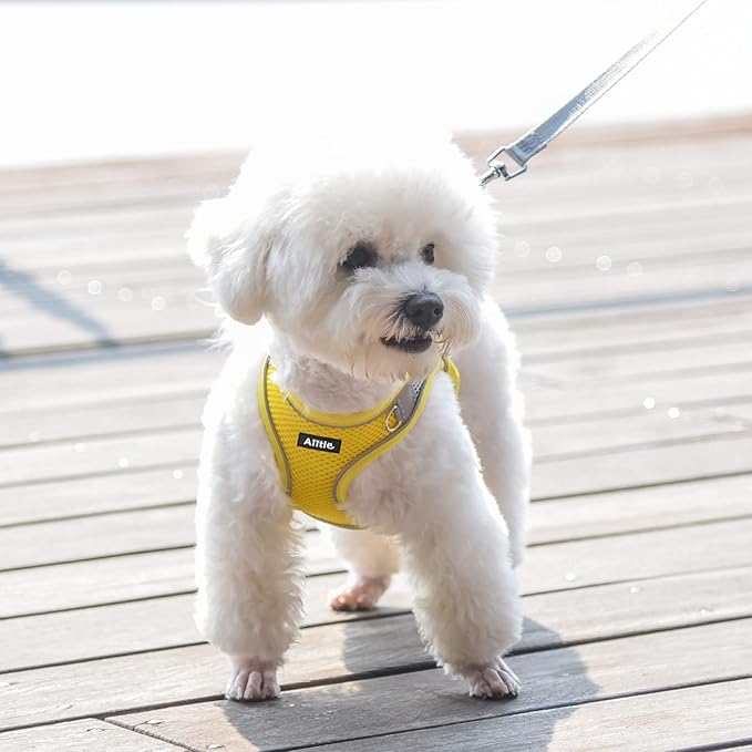 AIITLE Small Harness for Puppy with A Leash - Dog Vest Harness with Super Breathable Mesh, Reflective No-Pull Pet Harness for Outdoor Walking, Running for Small Dogs, Cats Yellow XXS
