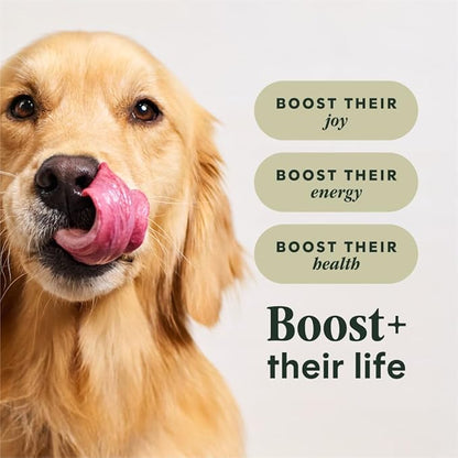 Instinct RawBoost, Natural Dry Dog Food with FreshDried Raw, High Protein, Grain-Free Recipe - Real Chicken, 10 lb. Bag