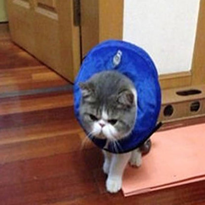 Inflatable Dog Neck Collar PVC Soft Warm Comfortable Protective Recovery Cone for Post Surgery Skin Itching Pets (Blue)