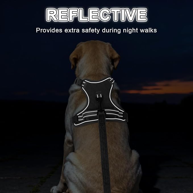 BEAUTYZOO No Pull Dog Harness Large, Adjustable Dog Harness and Leash Set -Easy Wearing with 3 Buckles/Control Handle,No Choke Soft Padded Reflective Pet Vest for Training Walking Hiking,Grey L