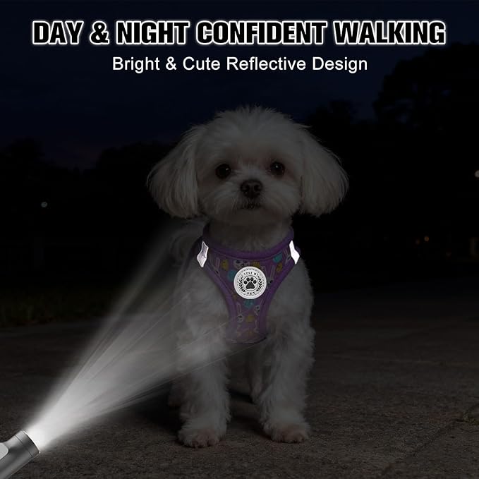 BEAUTYZOO Easter Dog Harness and Leash Set,Step in No Choke No Pull Soft Mesh Dog Harnesses Reflective for XSmall/Small Puppy Dogs Cats, Cute Coloful Egg Dog Vest for Outdoor Walking,Purple S