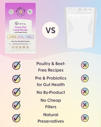 Bundle x Joy Brave Probiotic Dog Food Dry, Lamb, 8lb Bag, Allergy and Gut-Friendly Adult Kibble for Digestive Health with Grass-Fed Lamb, 20 Plant Based Superfoods, Poultry and Grain Free