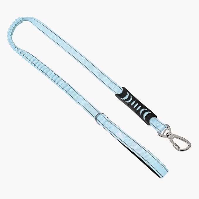 Dog Friendly Co. Bungee Dog Leash | Strain Free & Shock Resistant for Control | Neoprene Padded Handle, Heavy-Duty Carabiner Clip, and D-Ring | Sky Blue, Size Small