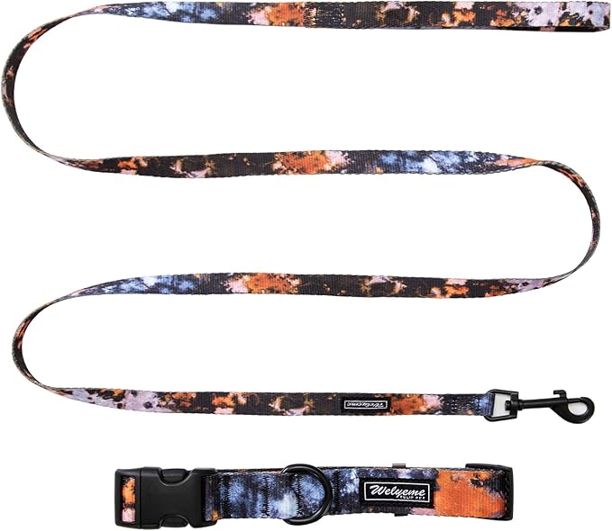 Dog Collar and Leash Set for XSmall Small Medium Large Dogs, Rainbow Stripes, Tie Dye Dog Collar (S(9.9''-11.8''))