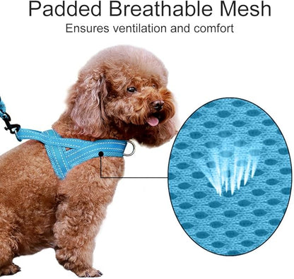 Plutus Pet No Pull Dog Harness with Breathable Mesh Padded, Adjustable Reflective Escape Proof Dog Harness, Quick Fit Dog Vest Harness for Small Medium Large Dogs(S, Cyan)