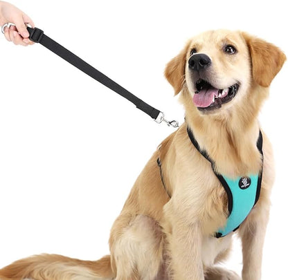VavoPaw Dog Seat Belt, Safety Vest Dog Car Harness with Adjustable Buckle Dog Seat-Belt for Vehicle Nylon Pet Safety Seats Belts Heavy Duty(XL, Blue)