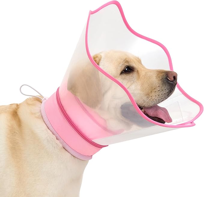 Arblina Soft Dog Cone Collar After Surgery,2-in-1 Adjustable Sponge Recovery Collar to Stop Licking Biting Wounds, Pet Elizabethan Dog Cone Alternative with Shield, L