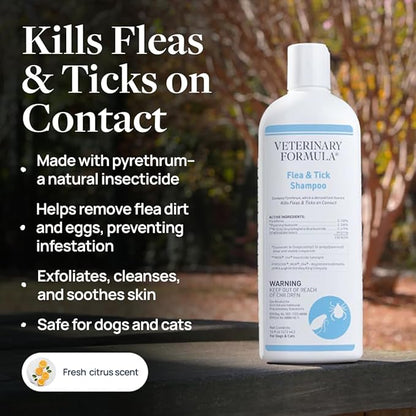 Veterinary Formula Flea and Tick Shampoo for Dogs and Cats, Flea and Tick Control Formula Helps Soothe Itchy Skin While Cleansing, Paraben, Dye, and Soap Free, 2 Pack, 16 fl oz Each