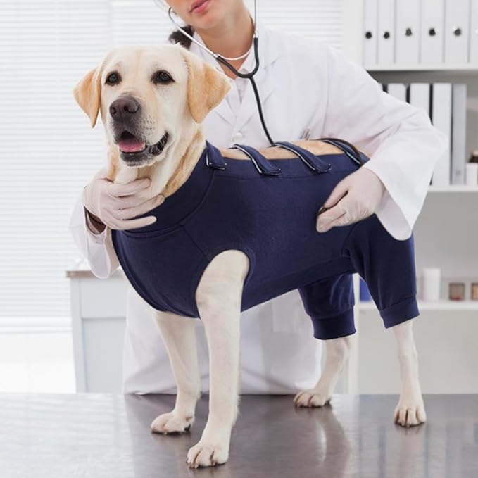 IECOii Dog Surgical Recovery Suit Male Female,Breathable Dog Bodysuit Dog Cone Alternative After Surgery with Pee Hole,Soft Dog Onesie for Spay Neuter Surgery Recovery Prevent Licking,XXXL-Blue