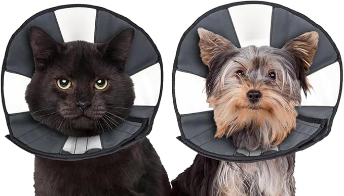 ZenPet Recovery Cone E-Collar for Dogs & Cats – Soft, Comfortable, Safe & Stress-Free Healing After Surgery, Adjustable Design, Secure Custom Fit (Small)