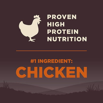 Wellness CORE Dry Dog Food, Large Breed, Grain-Free, High Protein, Natural, Original Chicken & Turkey Recipe, (26-Pound Bag)