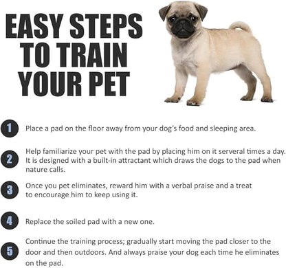 BV Puppy Pads XL 20 Count 34"x28" - Leak-Proof Pee Pads for Dogs with 6-Layer Design, Rapid Dry Sheet & Attractant - Dog Pad Extra Large with Odor Control - Perfect for Big Dogs & Indoor Use
