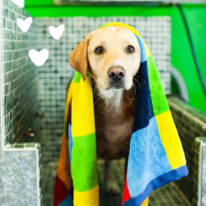 earthbath, Oatmeal & Aloe Dog Shampoo - Oatmeal Shampoo For Dogs, Itchy, Dry Skin Relief, Dog Wash, Made in USA, Cruelty Free, Fragrance Free Pet Shampoos - 128 Oz (1 Pack)