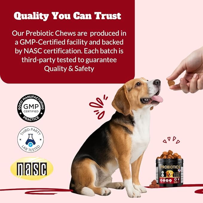 Probiotics for Dogs&Cats, Probiotic for Sensitive Stomach, Itchy Skin, Allergies, Immunity, Yeast Balance, Oral Problems-Dog Probiotic and Digestive Enzymes with Prebiotics-Reduce Diarrhea, Gas-120 Ct