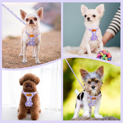 Lukovee Puppy Harness and Leash Set, No Pull Lightweight Soft Suede Adjustable Pet Harness Vest with Snap Buckle for Puppy Small and Medium Size Dog (Purple-S)