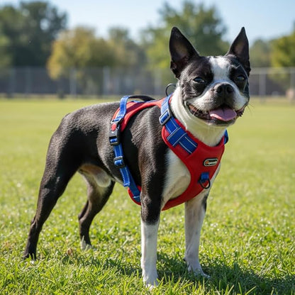 Tactical Dog Harness for Large Medium Dogs No Pull Adjustable Pet Vest with Reflective Straps Front & Back Clips Handle for Hiking Walking Hunting– 4 Sizes with or Without Leash (RED, S)