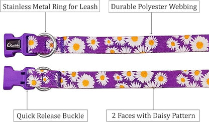 Dog Collar and Leash Set, Cute Daisy Pattern, Polyester Material, 5ft Leash, for Puppy Dogs.(Extra Small,Purple Daisy)