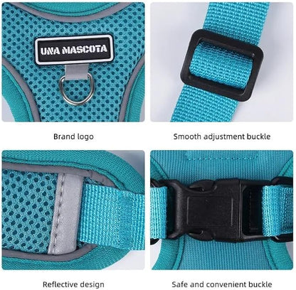 Dog Harness and Leash Set, Adjustable Triangle, Reflective Adjustable Puppy Vest, No Pull Soft Mesh Harness for Small, Medium Dogs, Cats (Turquoise, L)