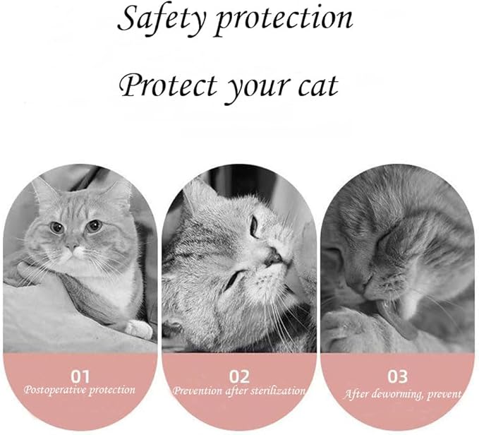 Cat Recovery Suit Female Kitten Onesie for Cats After Surgery Female Spay Surgical Abdominal Wound Skin Diseases Cone Collar Soft Alternative Wear (Alpaca, S)