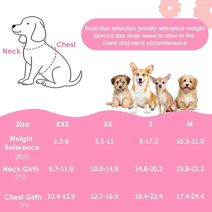Lukovee Puppy Harness and Leash Set, No Pull Lightweight Soft Suede Adjustable Pet Harness Vest with Snap Buckle for Puppy Small and Medium Size Dog (Pink-XS)