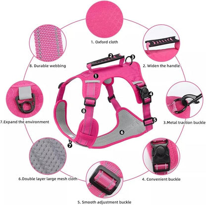 Dog Harness No Pull Adjustable Reflective,for Medium and Large Small Dog with Leash 59.06in (Fuscia, L)