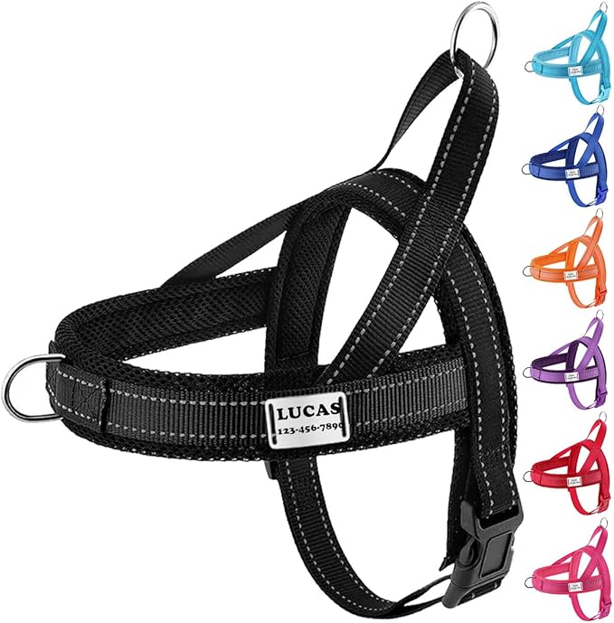 Moonpet Personalized Custom Customized No Pull Dog Harness with Name and Phone Number Plate/Adjustable Reflective Escape Proof Quick Fit Dog Vest Harness for Puppy X-Small Small Medium Large Dogs