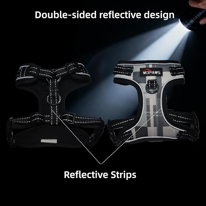 No Pull Dog Harness and Leash Set-Reflective Plaid Design, Adjustable & Comfortable with Front D Ring for Small Medium Dogs (XS, Black Plaid)