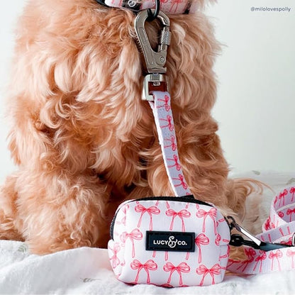 Lucy & Co. Designer Dog Leash - Pet Accessories - Thick Dog Leash - Padded Handle for Comfort - Ballet Bows - 5 Foot (White & Pink Bows, Large)
