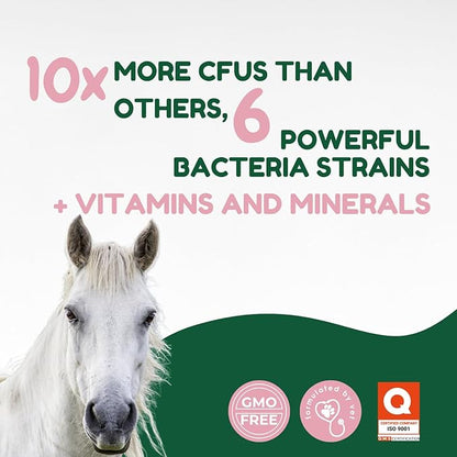 Horse Probiotic Paste – 8 Billion CFU Equine Probiotic with Prebiotics & Vitamins – Hindgut Health, Digestive Balance & Feed Efficiency Support – 80CC