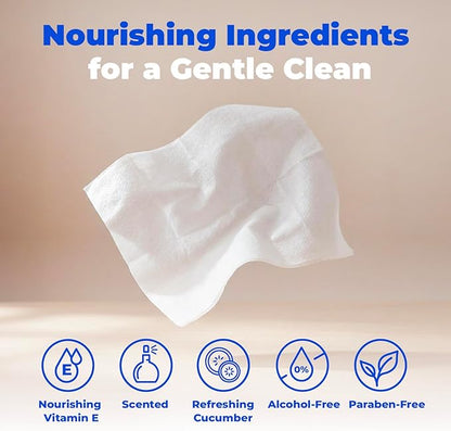 Best Pet Supplies 8" x 9" Large Dog Wipes - Cleaning and Deodorizing for Paws and Coat - Gentle Formula with Cucumber Vitamin E for Puppies and Cats - 100 Count