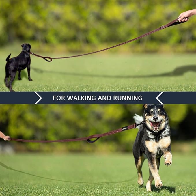 Plutus Pet Double Handle Dog Leash 6ft, Heavy Duty, Reflective Dual Handle Dog Leash for Safety Training, for Medium Large Dogs,2 Handle Leads, Chocolate