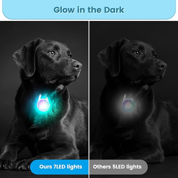 2Pack Dog Lights for Night Walking Dog Collar Light Clip on Glow in The Dark with 4Modes & RGB Color for Camping