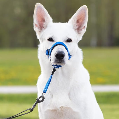 GoodBoy Dog Head Halter with Safety Strap - Stops Heavy Pulling On The Leash - Padded Headcollar for Small Medium and Large Dog Sizes - Head Collar Training Guide Included (Size 2, Blue Nylon)