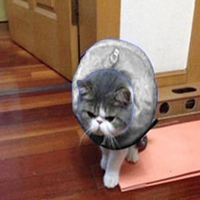 Inflatable Dog Neck Collar PVC Soft Warm Comfortable Protective Recovery Cone for Post Surgery Skin Itching Pets (Gray)
