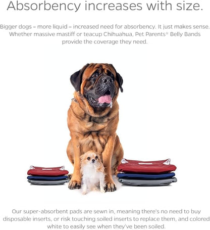 Pet Parents® Washable Belly Bands for Male Dogs (3pack) + Extendrs® of Durable Dog Diapers Male, Premium Male Dog Diapers & Dog Wraps (X-Large, Kingsmen)
