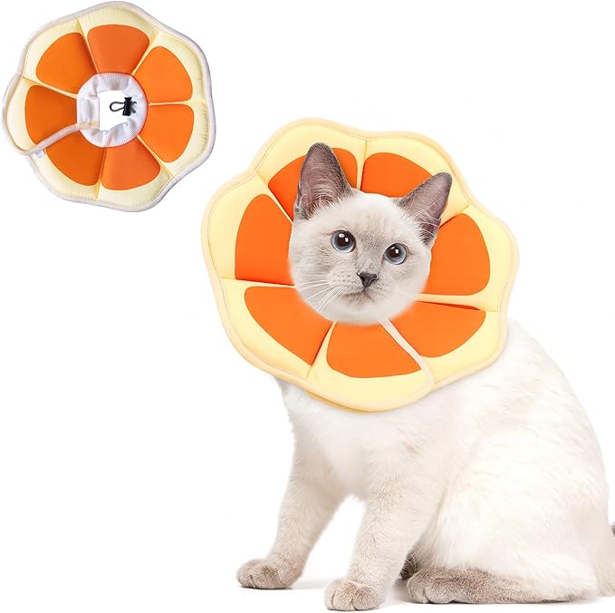 Cat Cone Collar Soft, Comfortable E Collar for Cats After Surgery, Recovery Elizabethan Collar for Cats Kitten to Stop Licking, Orange M