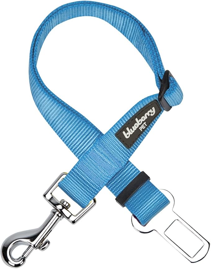 Blueberry Pet Dog Leash - Puppy Essentials & Heavy Duty Dog Leashes for Large Dogs, Safety Tether for Dogs & Cats, Turquoise, 2" W x 27.5" L, Festive & Durable for Pet Parents & Road Trips