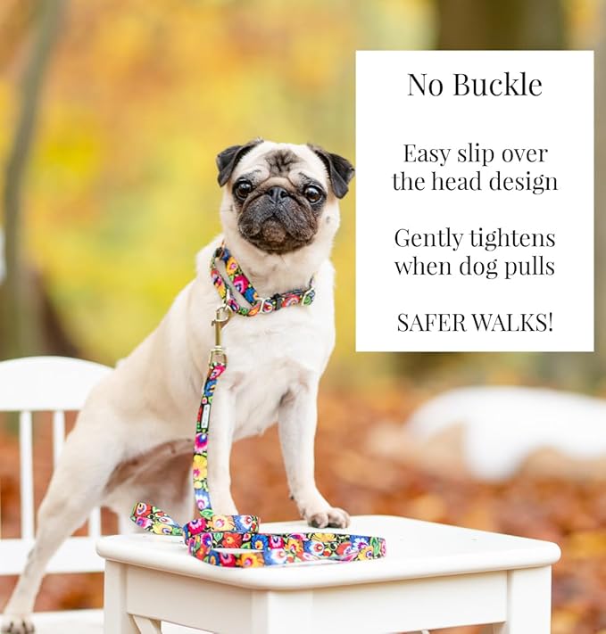 Lucky Love Dog Martingale Dog Collar - Adjustable, No-Slip, Durable, & Soft Webbing Collar for Male and Female Dogs Ideal for Training & Walking - Blackbird, Small