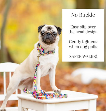 Lucky Love Dog Martingale Dog Collar - Adjustable, No-Slip, Durable, & Soft Webbing Collar for Male and Female Dogs Ideal for Training & Walking - Blackbird, Small